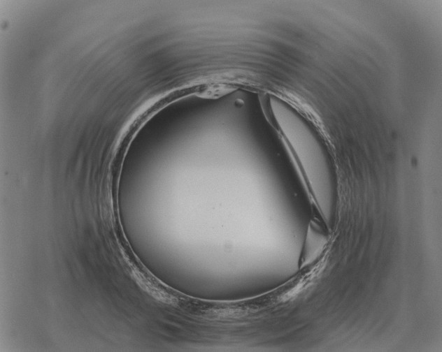 X0000076430792200610271732