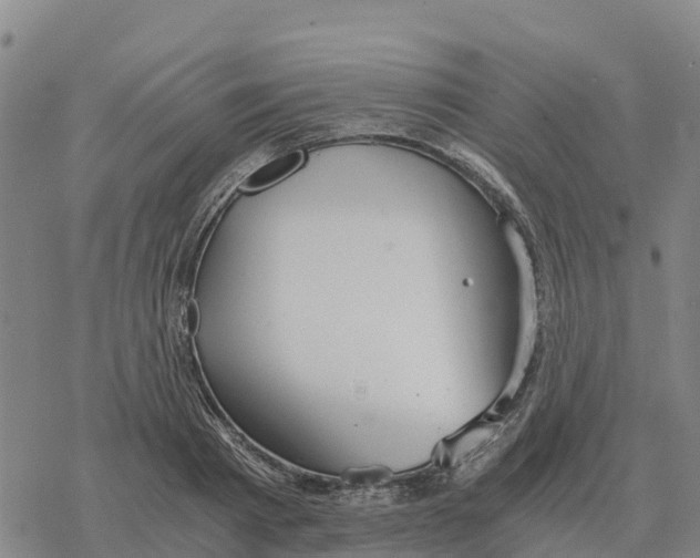 X0000076430793200610271732