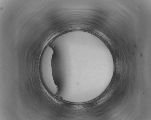 X0000076430794200610271732