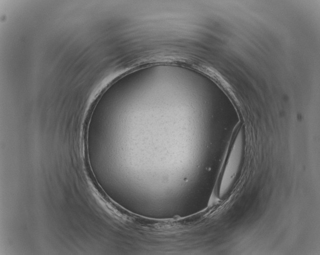 X0000076430795200610271732