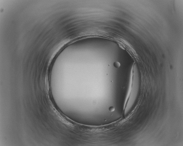 X0000076430796200610271732