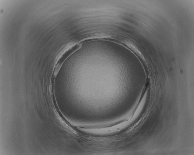 X0000076430797200610271732