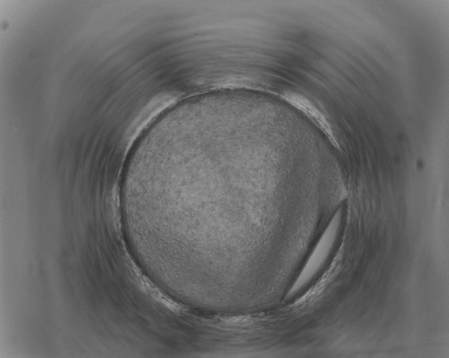 X0000076430798200610271732