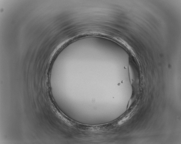 X0000076430799200610271732