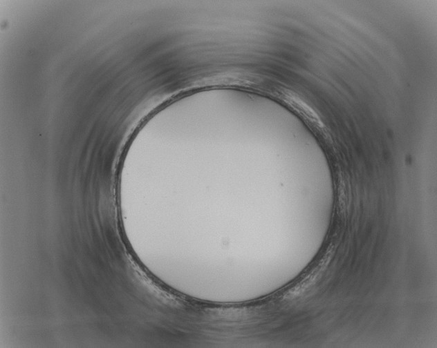 X0000076430800200610271732