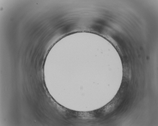 X0000076430807200610271732