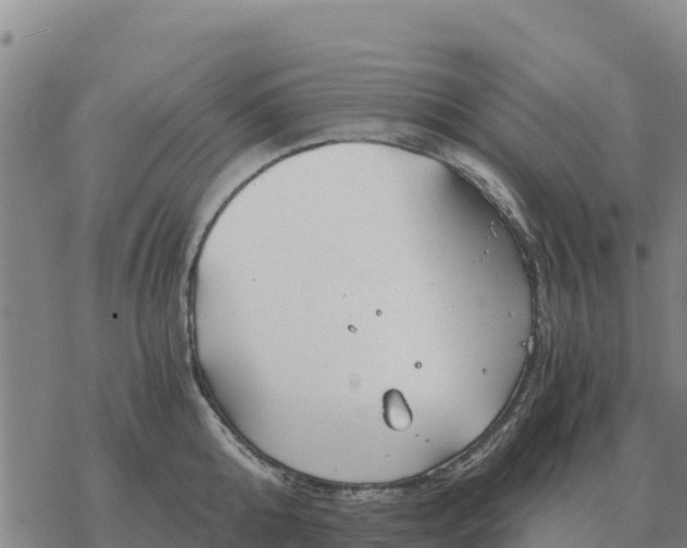 X0000076430808200610271732