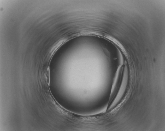 X0000076430809200610271732