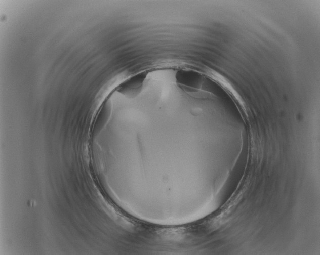 X0000076430810200610271732