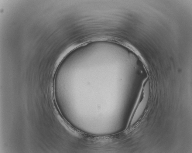 X0000076430811200610271732