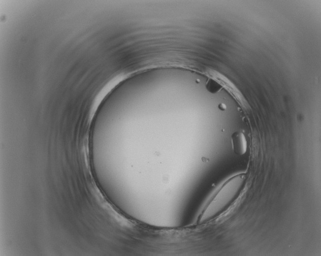 X0000076430812200610271732