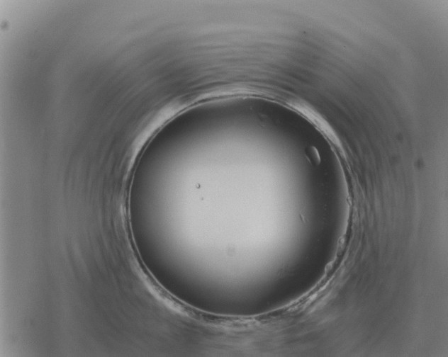 X0000076430813200610271732