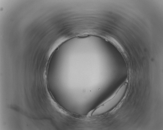 X0000076430814200610271732