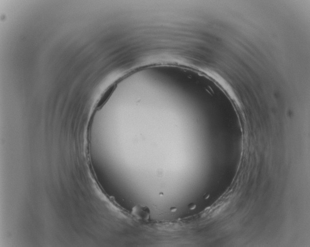 X0000076430815200610271732