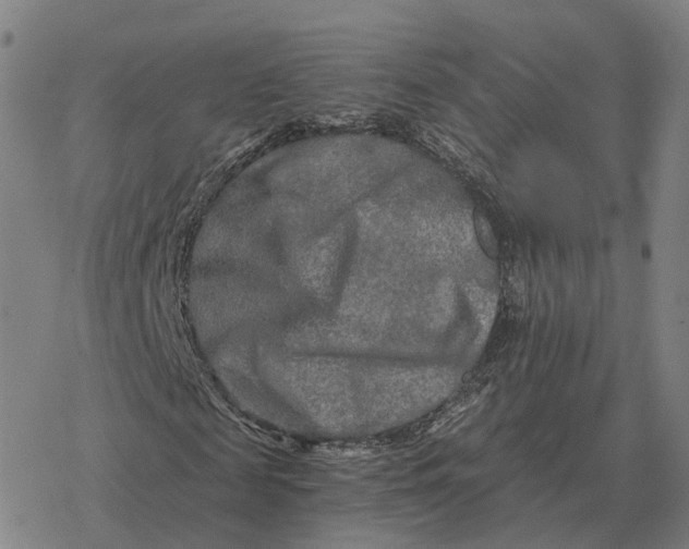 X0000076430817200610271731