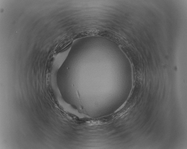 X0000076430818200610271731