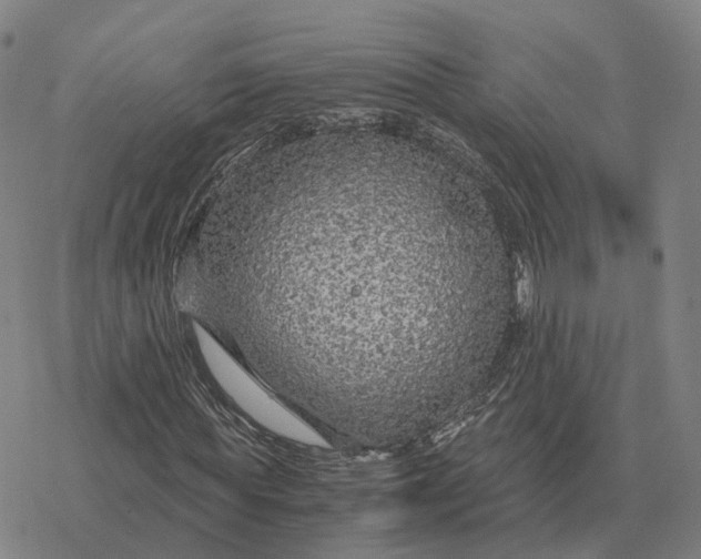 X0000076430819200610271731