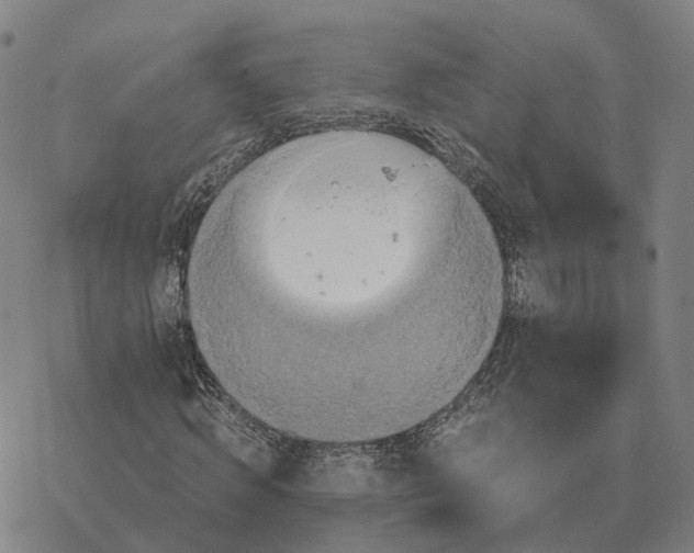 X0000076430820200610271731