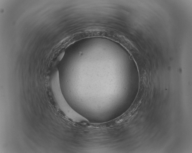 X0000076430821200610271731