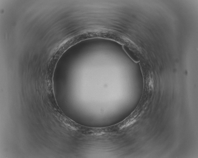 X0000076430822200610271731