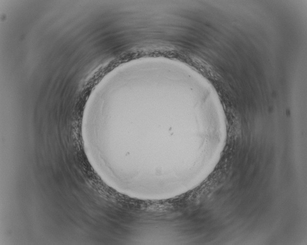 X0000076430824200610271731