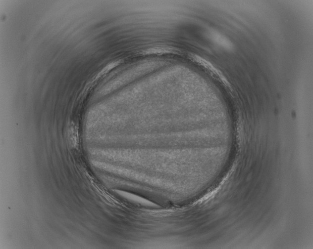 X0000076430825200610271731