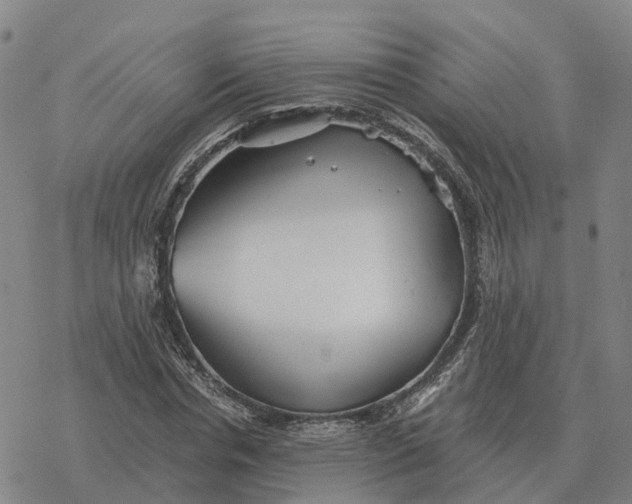 X0000076430826200610271731