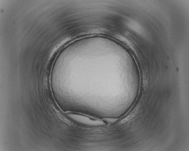 X0000076430827200610271731