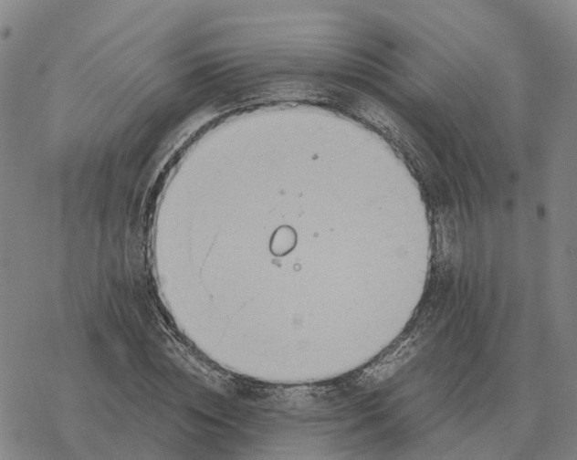 X0000076430828200610271731