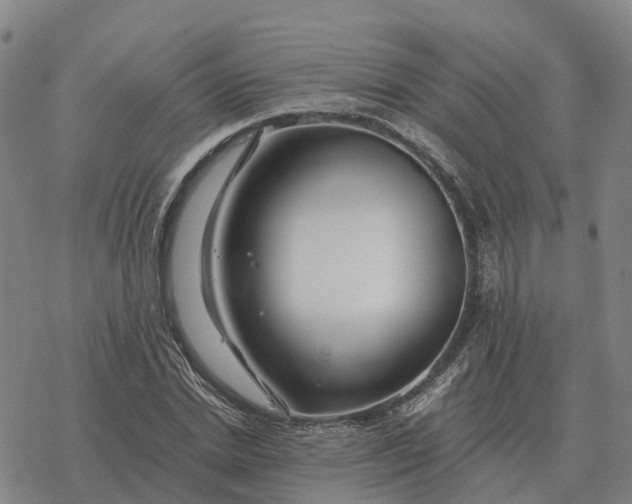 X0000076430830200610271731