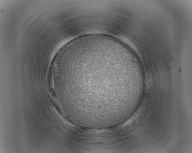 X0000076430831200610271731