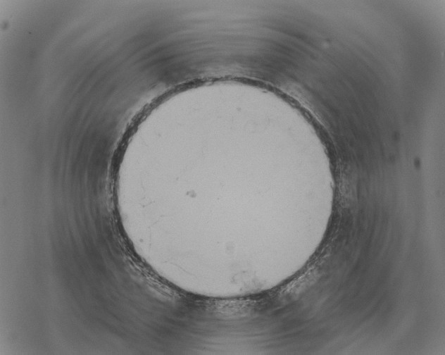 X0000076430832200610271731