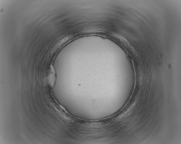 X0000076430833200610271731