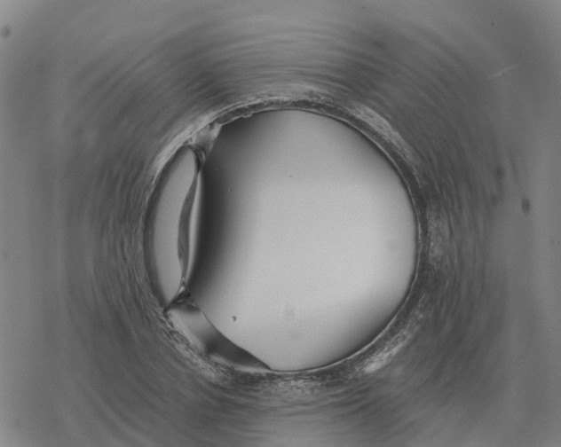 X0000076430834200610271731