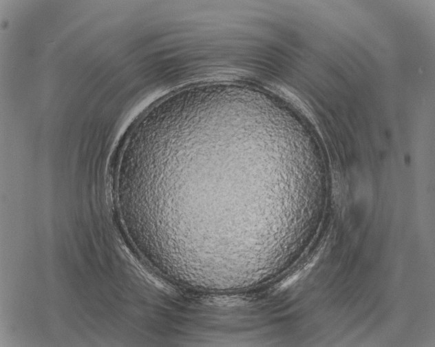 X0000076430835200610271731