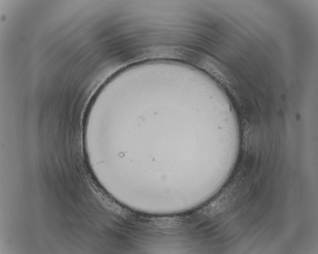 X0000076430836200610271731