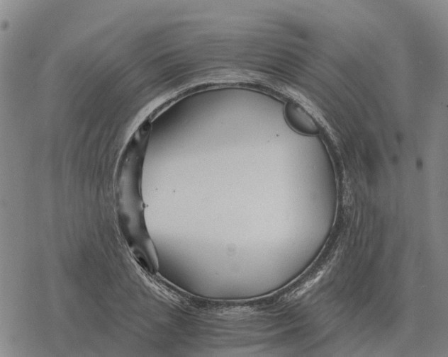 X0000076430837200610271731