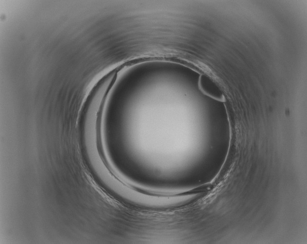 X0000076430838200610271731