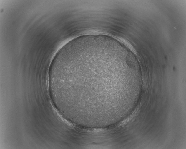 X0000076430839200610271731