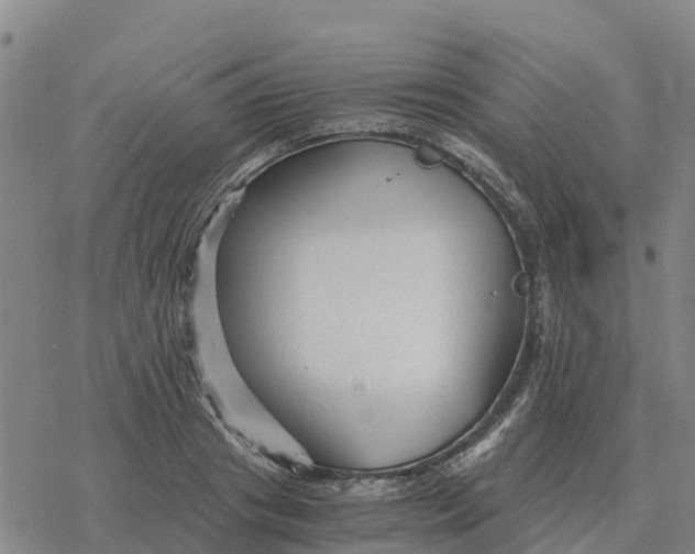 X0000076430841200610271731