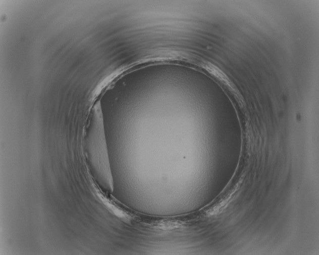 X0000076430842200610271731