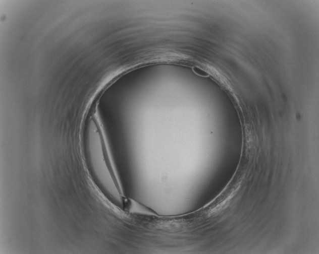 X0000076430843200610271731