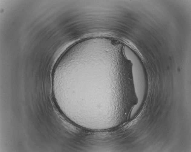 X0000076430844200610271731