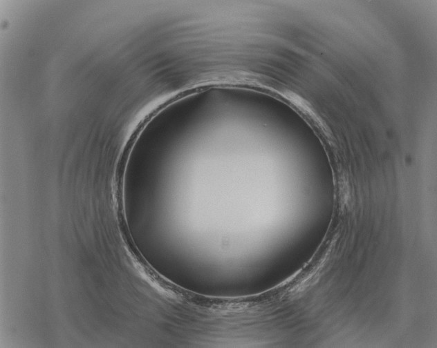 X0000076430846200610271731