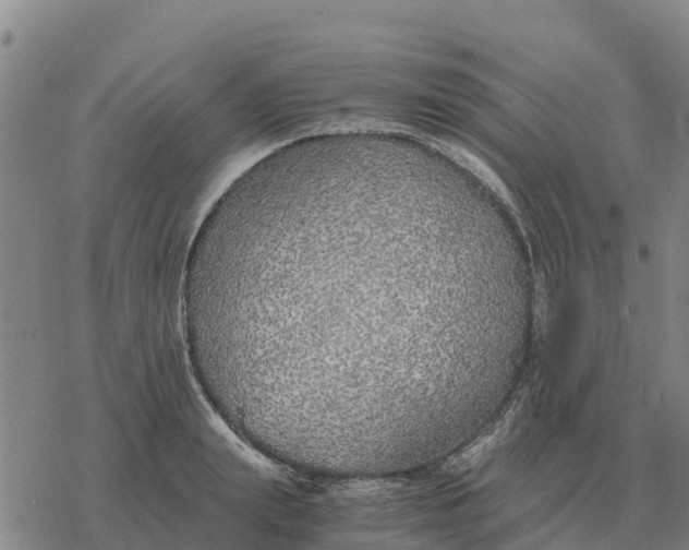 X0000076430847200610271731