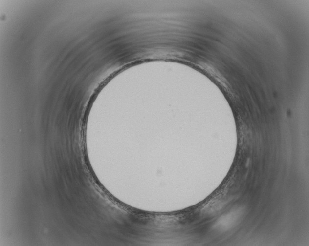 X0000076430848200610271731