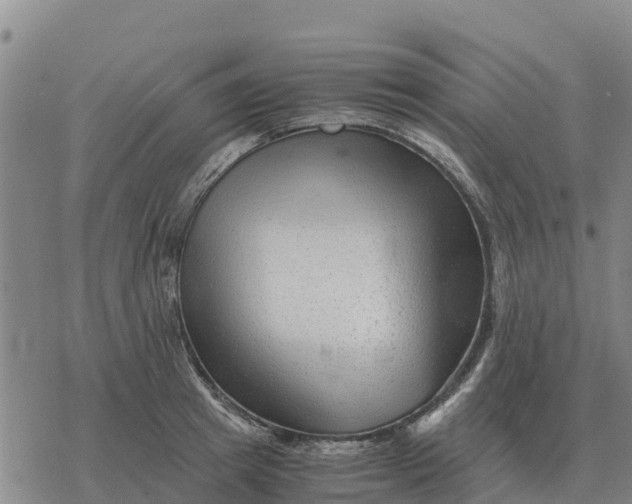 X0000076430849200610271731