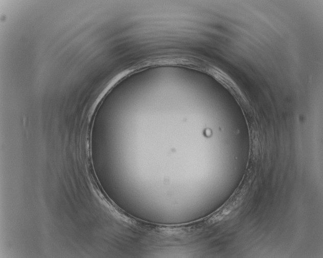 X0000076430852200610271731