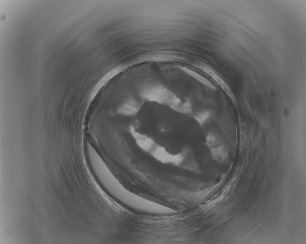 X0000076430853200610271731