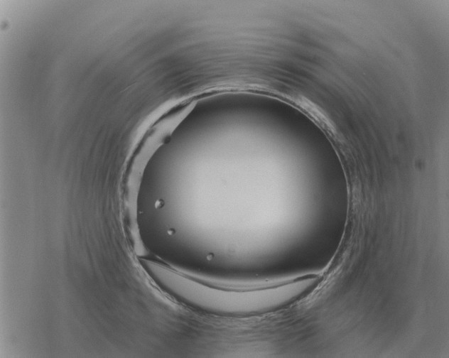 X0000076430854200610271731